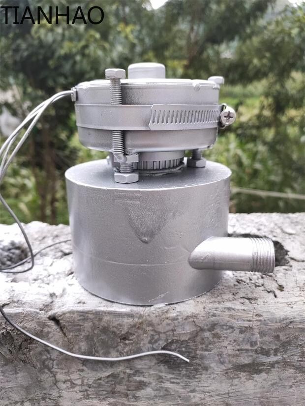 AC DC Hydro Generator 500W 220 - Renewable Energy Hydropower 评论和价格